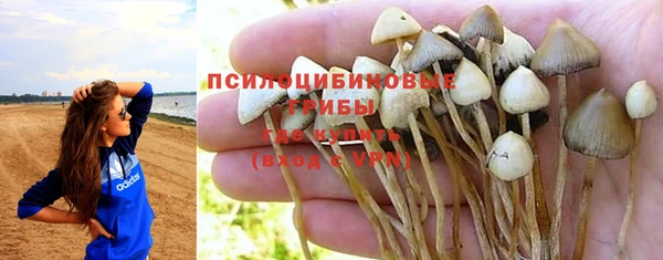 твердый Алексин