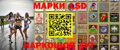 индика Кинель