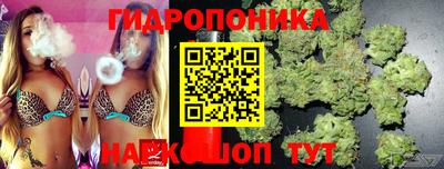 крисы Кимры