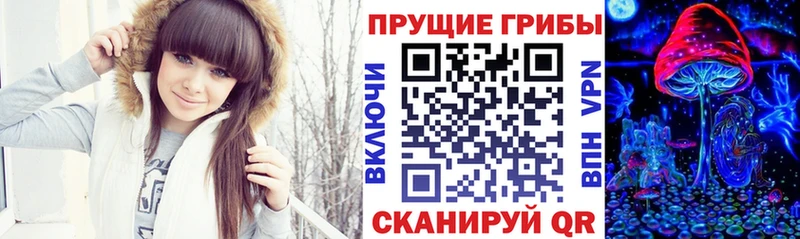 наркошоп  Кудрово  Псилоцибиновые грибы прущие грибы 