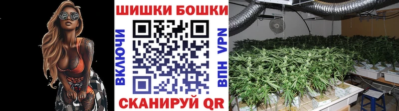 МАРИХУАНА ГИДРОПОН Кудрово