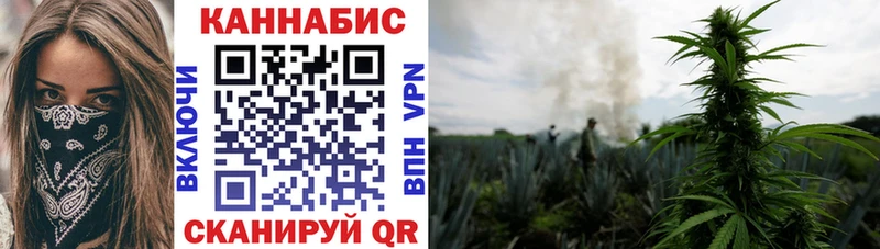 МАРИХУАНА конопля  блэк спрут сайт  Кудрово 